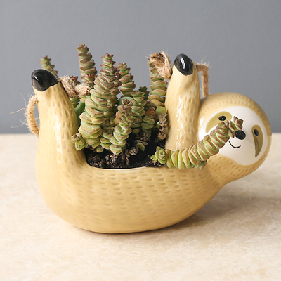 SLOTH POT