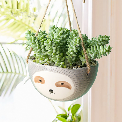 SLOTH POT